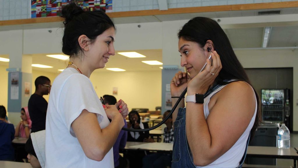 Students using a stethoscope