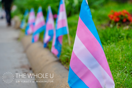 The Whole U text with Trans Pride flags in grass.