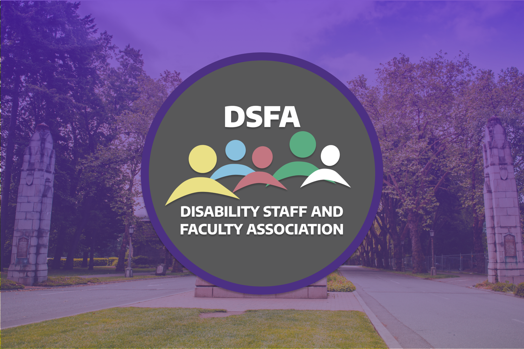 DSFA logo