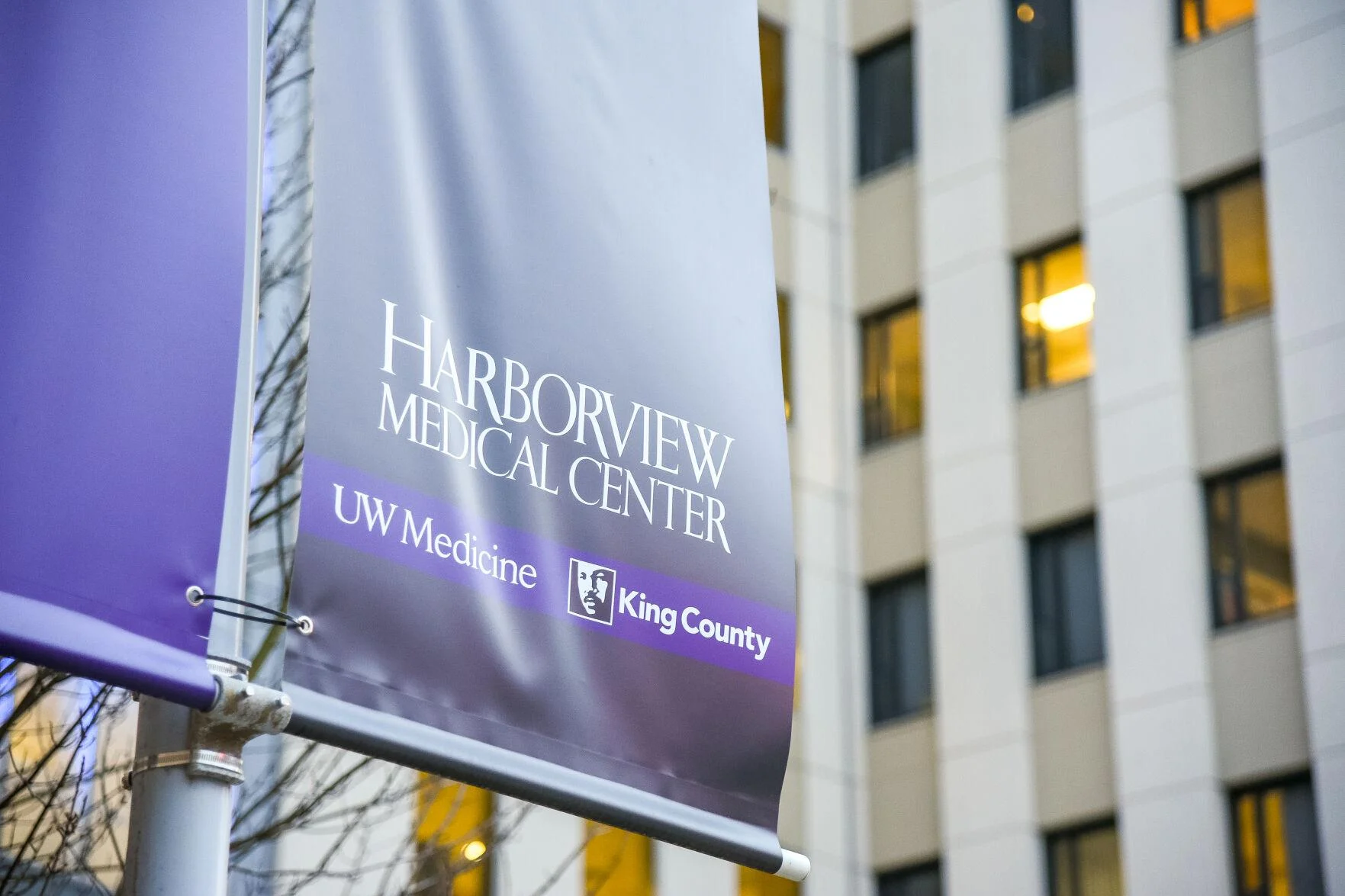 A photo of a purple vinyl banner that says "Harborview Medical Center UW Medicine - King County"
